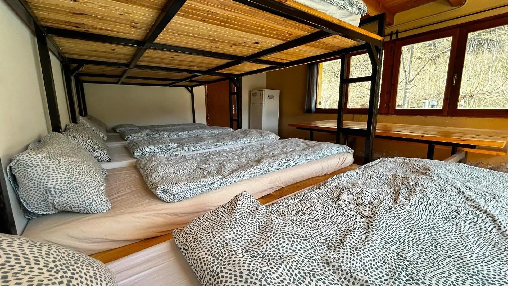 Kemping Camping Noguera Pallaresa Sort